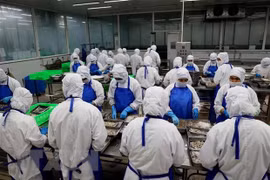 Exportación acuícola de Vietnam alcanza 11 mil millones de dólares en 2022