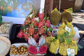 Avanza con buen ritmo comercio entre Vietnam y Australia