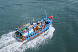 Vietnam intensifica capacidad de flotas de altura por el desarrollo sostenible de pesca
