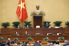 Asamblea Nacional de Vietnam analiza la Ley de Tierra