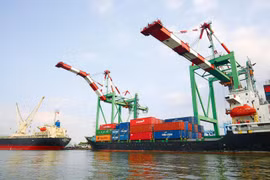 Exportaciones de Vietnam a India alcanzan 1,92 mil millones de dólares