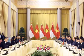 Vietnam y Singapur abogan por construir asociación económica digital y verde