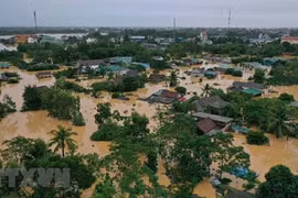 Actualizan escenario del cambio climático en Vietnam