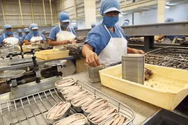 Atún enlatado conquista mercado de Francia