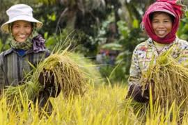 Aumentan exportaciones de productos agrícolas camboyanos a Vietnam