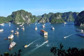Provincia vietnamita de Quang Ninh por garantizar turismo seguro en nueva normalidad