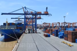 TLC brindan resultados positivos de exportaciones en medio de COVID-19