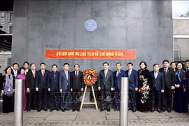 Promueven papel de la Red de Amistad Vietnam-Reino Unido