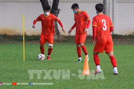 Vietnam dispuesto a jugar con Tailandia en Campeonato de fútbol regional