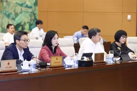 Comité Permanente del Parlamento vietnamita analiza dos proyectos de ley