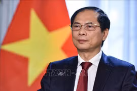 Vietnam concede importantes relaciones con Nueva Zelanda, según canciller