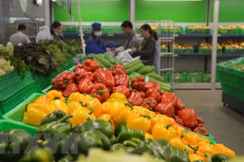 Exportaciones hortofrutícolas de Vietnam alcanzan 1,4 mil millones de dólares