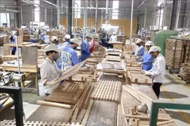 Expertos recomiendan al sector maderero de Vietnam aprovechar materias primas nacionales