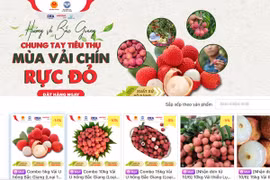 Provincia vietnamita de Bac Giang promueve consumo de productos agrícolas en plataformas electrónicos