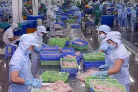 Comercio Vietnam - Estados Unidos apunta hacia un desarrollo armonioso y sostenible