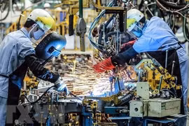 Empresas europeas optimistas sobre economía vietnamita