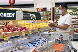 Ingresos de empresas en Hanoi aumentan en mes de promoción 