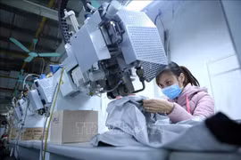 Aplicarán reglas específicas en virtud del TLC entre Vietnam y Corea del Sur