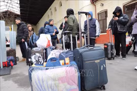 Embajada vietnamita asiste a vietnamitas evacuados de Ucrania a Alemania 