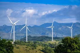 Promueven el crédito verde en Vietnam