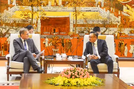 Convidan a empresas danesas y neozelandesas a invertir en Hanoi