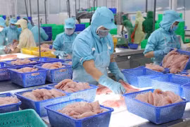 Exportaciones acuáticas vietnamitas crecen 38 por ciento en nueve meses