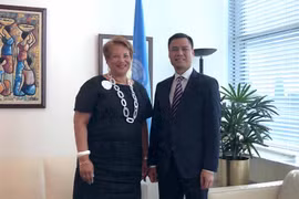 Oficial de ONU elogia aportes de Vietnam a trabajo común de agrupación