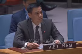 Vietnam dispuesto a cooperar con otros países en mantenimiento de paz de ONU