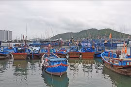 Vietnam acelera los movimientos para combatir la pesca ilegal