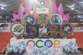 Presentan en Hanoi productos OCOP de provincias montañosas norteñas