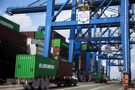Empresas vietnamitas aprovechan eficazmente EVFTA 