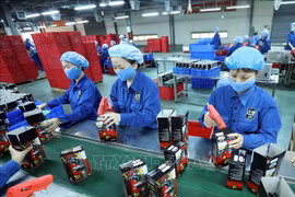 Provincia vietnamita experimenta alza en cantidad de nuevas empresas