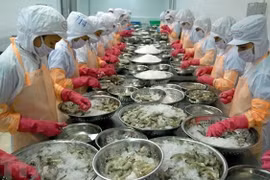 Vietnam promueve exportaciones pesqueras a la Unión Europea