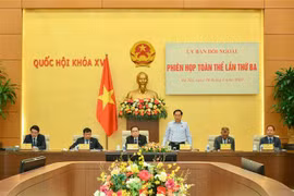 Elogian labores de relaciones exteriores del Parlamento vietnamita 