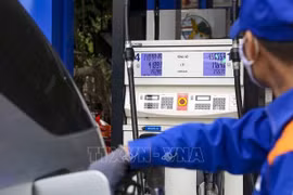 Aprueban en Vietnam resolución sobre impuesto de protección ambiental para gasolina y petróleo