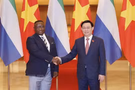 Presidente de Asamblea Nacional de Vietnam se reúne con jefe de Estado de Sierra Leona