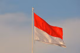 Indonesia promueve cooperación con Emiratos Árabes Unidos