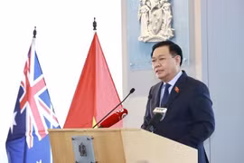 Vietnam busca fomentar cooperación educativa con Australia