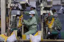 Argelia aspira a impulsar la cooperación económica y comercial con Vietnam