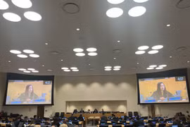 Insta Vietnam a garantizar financiamiento a actividades de desarrollo de ONU