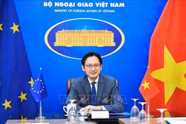 Vietnam y la UE amplían cooperación en áreas prioritarias