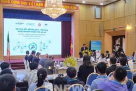 Conferencia conecta empresas agrícolas de Vietnam e Irlanda
