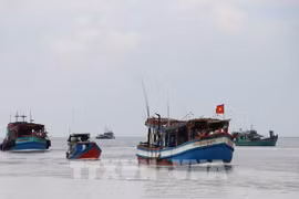 Provincia survietnamita trabaja por combatir pesca ilegal