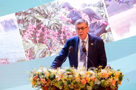 Presidente de EuroCham: Empresas europeas están interesadas en invertir en Vietnam
