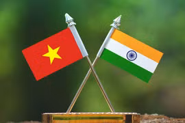 Celebran en Can Tho 55 aniversario de relaciones diplomáticas entre Vietnam y la India 