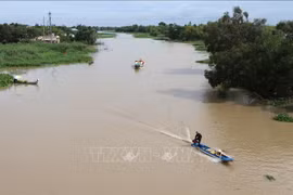 Delta del Mekong de Vietnam enfrenta intrusión salina
