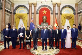 Presidente vietnamita recibe a embajadores de Países Bajos, Hungría, Australia y Luxemburgo