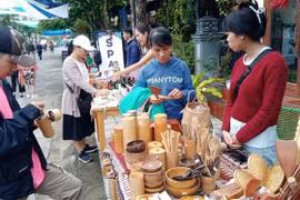 Inaugurado festival “Arte instalación sobre el medio ambiente marino” en provincia vietnamita