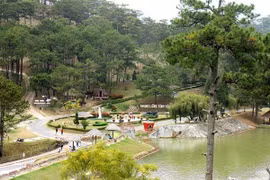 Da Lat figura entre mejores lugares del mundo para citas de romance, según Booking.com