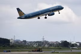 Vietnam Airlines brindará servicio de transporte de ramas de flores representativas del Tet